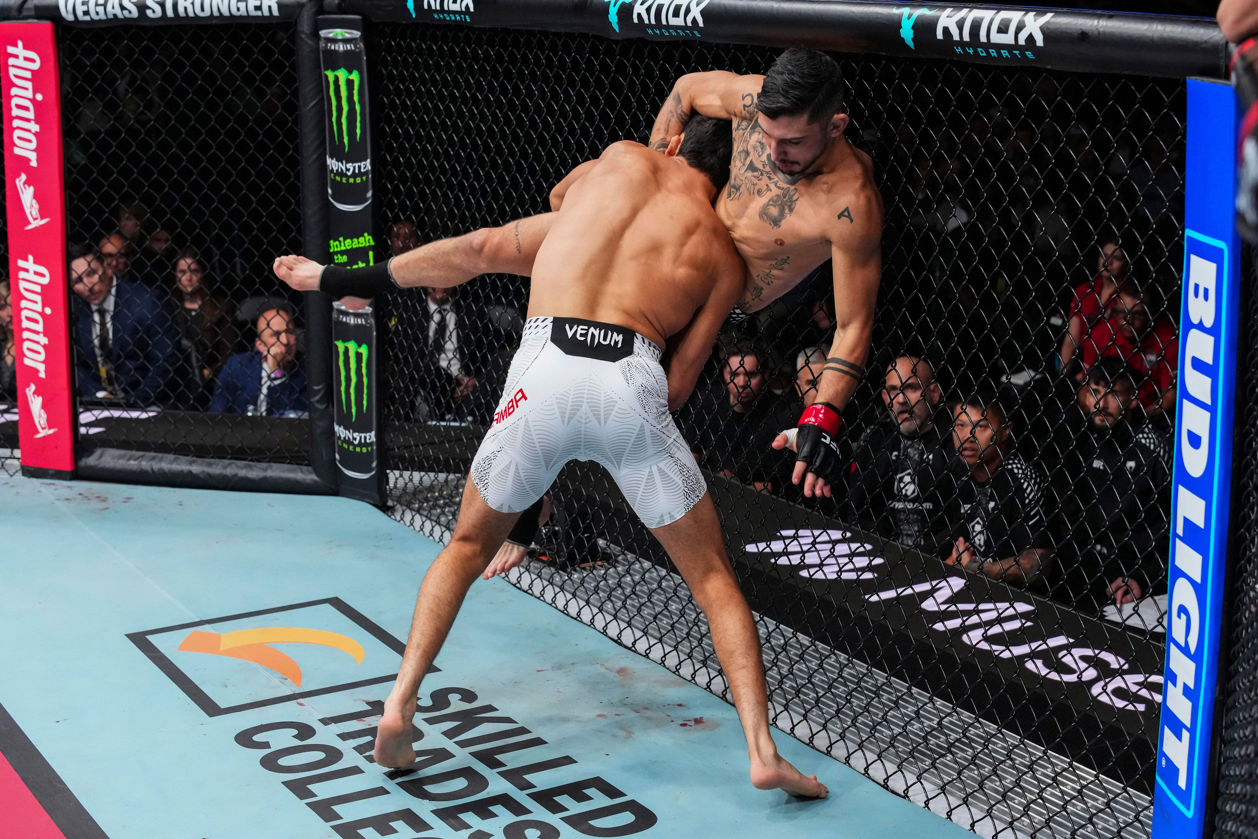 Rookie report card: Grading all Octagon newcomers UFC Edmonton post-mortem