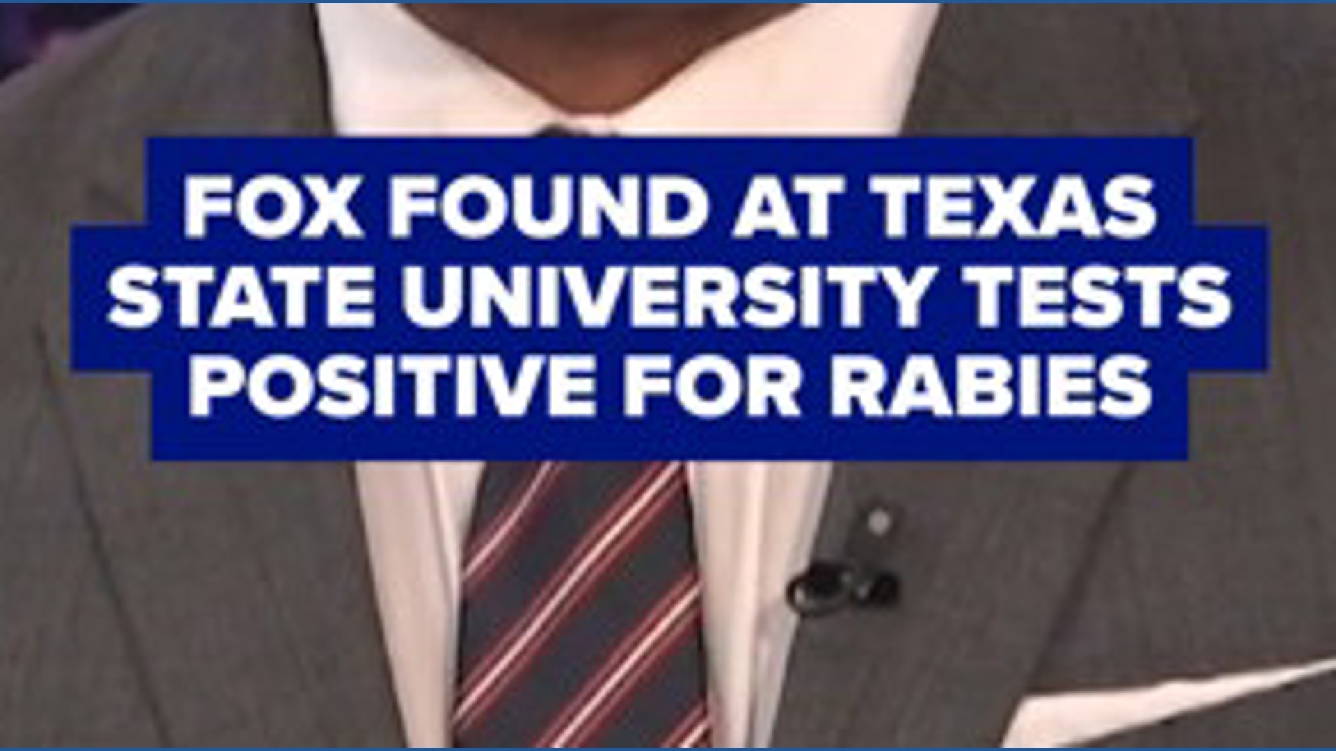 Fox found at Texas State University campus tests positive for rabies