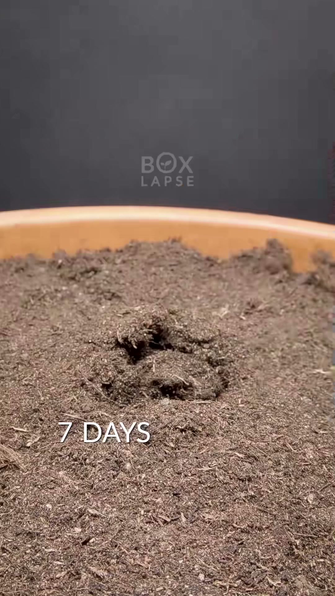 Time-lapse vibes: 3 perfect clips