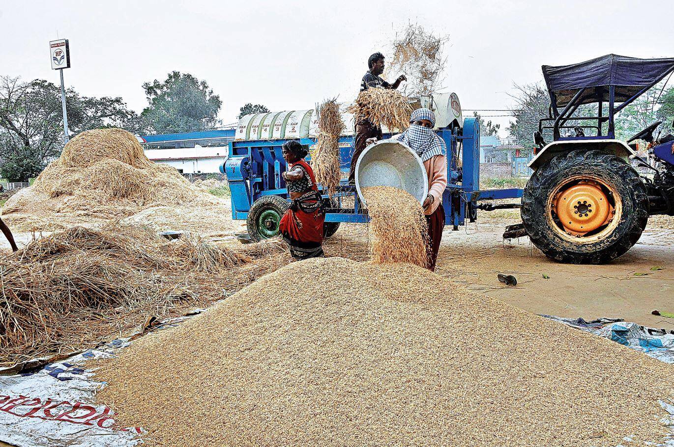 Rice prices soar 65% in surplus Telangana, squeezing household budgets