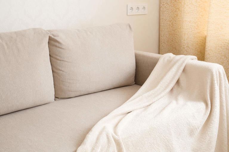 Washable sofa covers are having a moment as pet owners and budget ...
