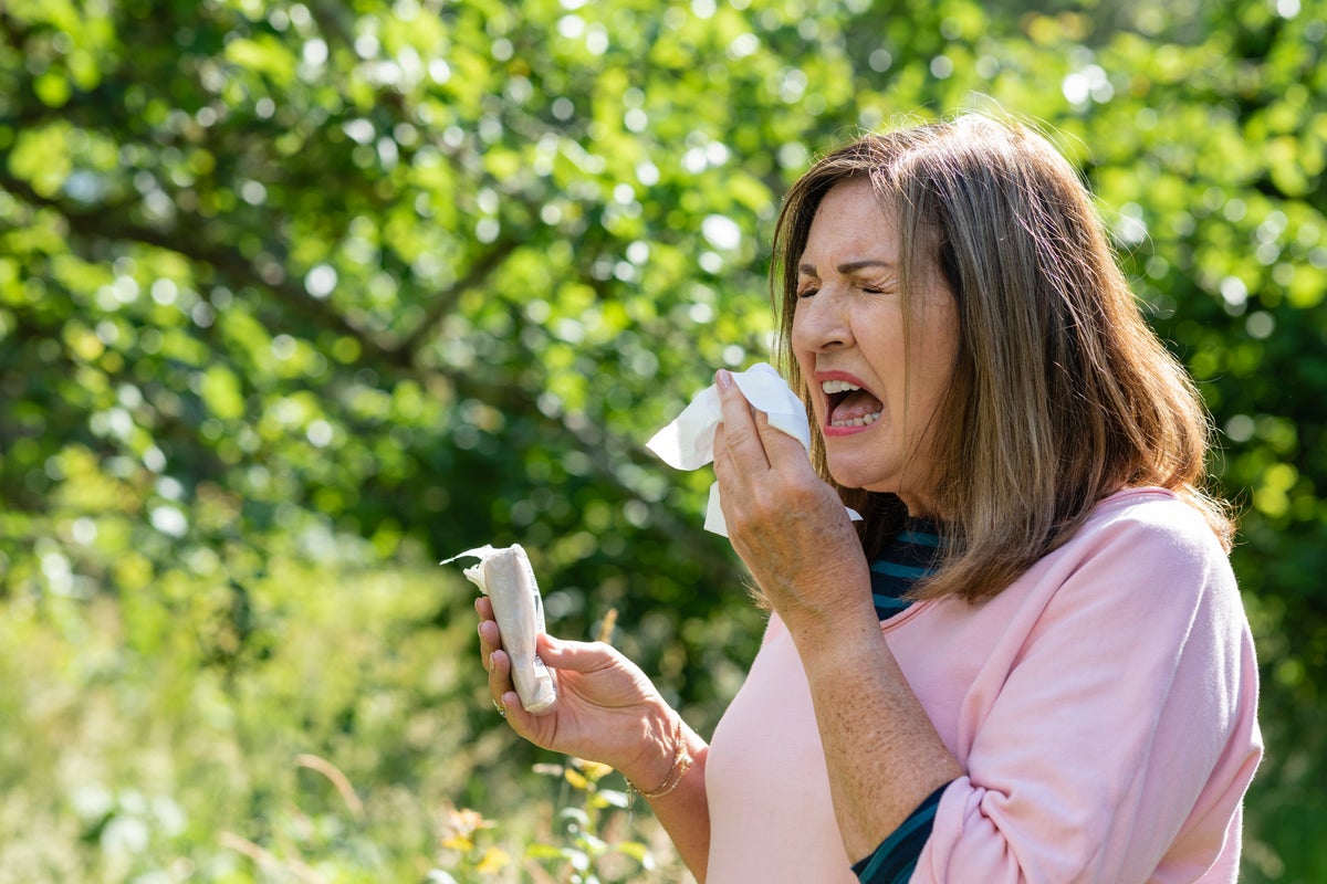 Scientists may have an answer on the origins of seasonal allergies