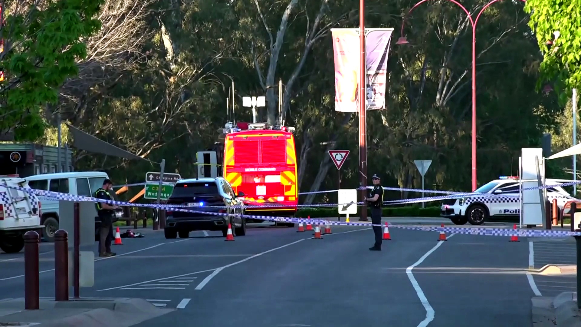 Helen Haines critically injured after being struck by 4WD in Wangaratta
