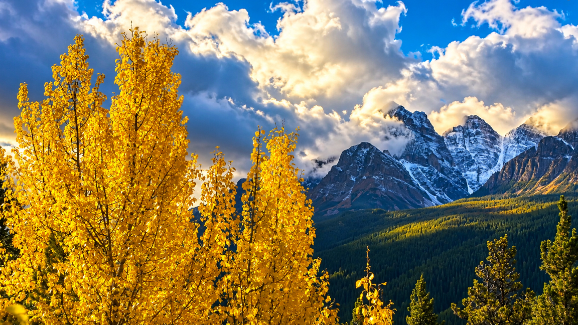 Alberi d’autunno dorati sotto le cime innevate delle Montagne Rocciose ...
