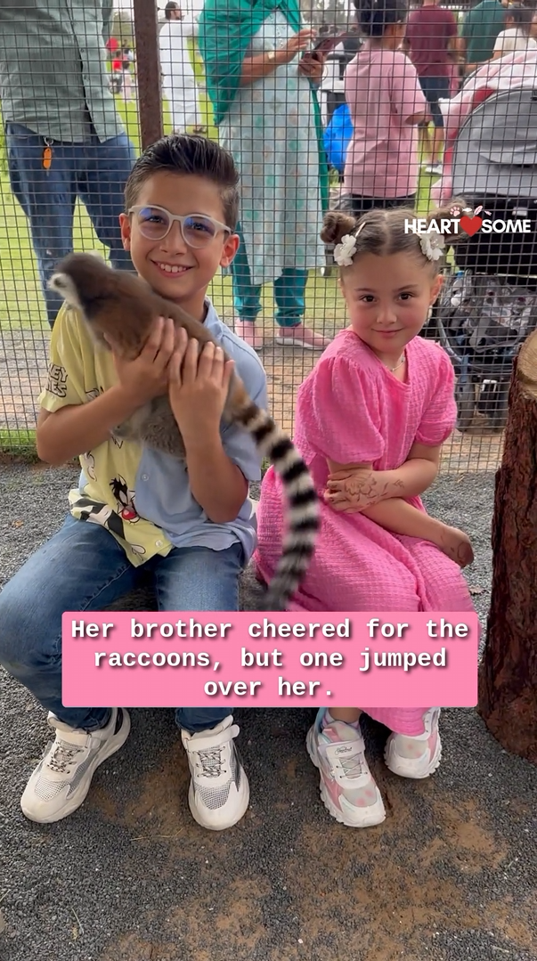 The little girl has hilarious reactions to a parrot and raccoons during ...