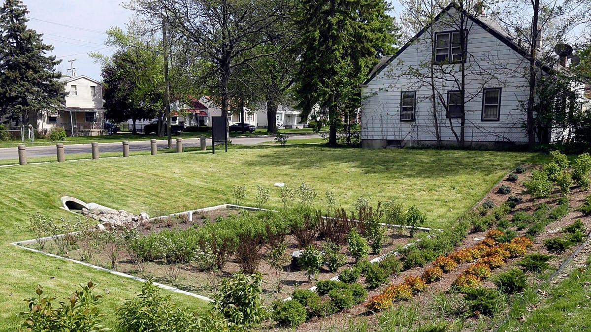 How planting a 'rain garden' could help protect your home from flooding