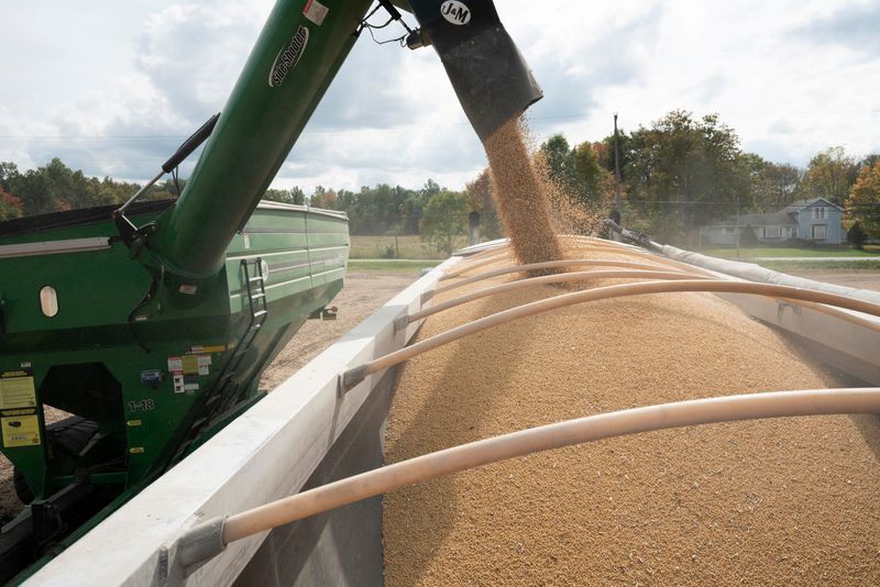 China's September US soybean imports rebound from zero a year earlier ...