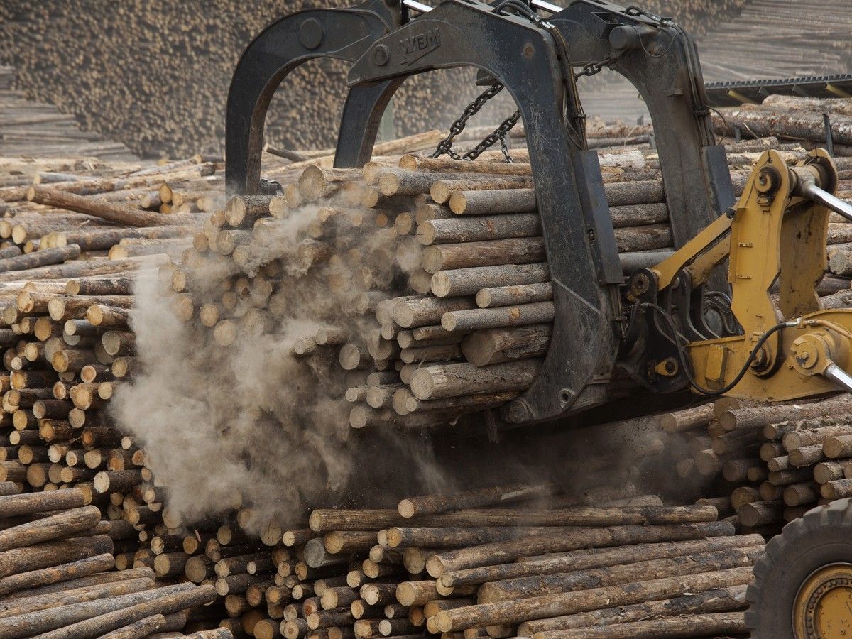 Conservatives promise to amp up harvest for BC.'s beleaguered forestry ...