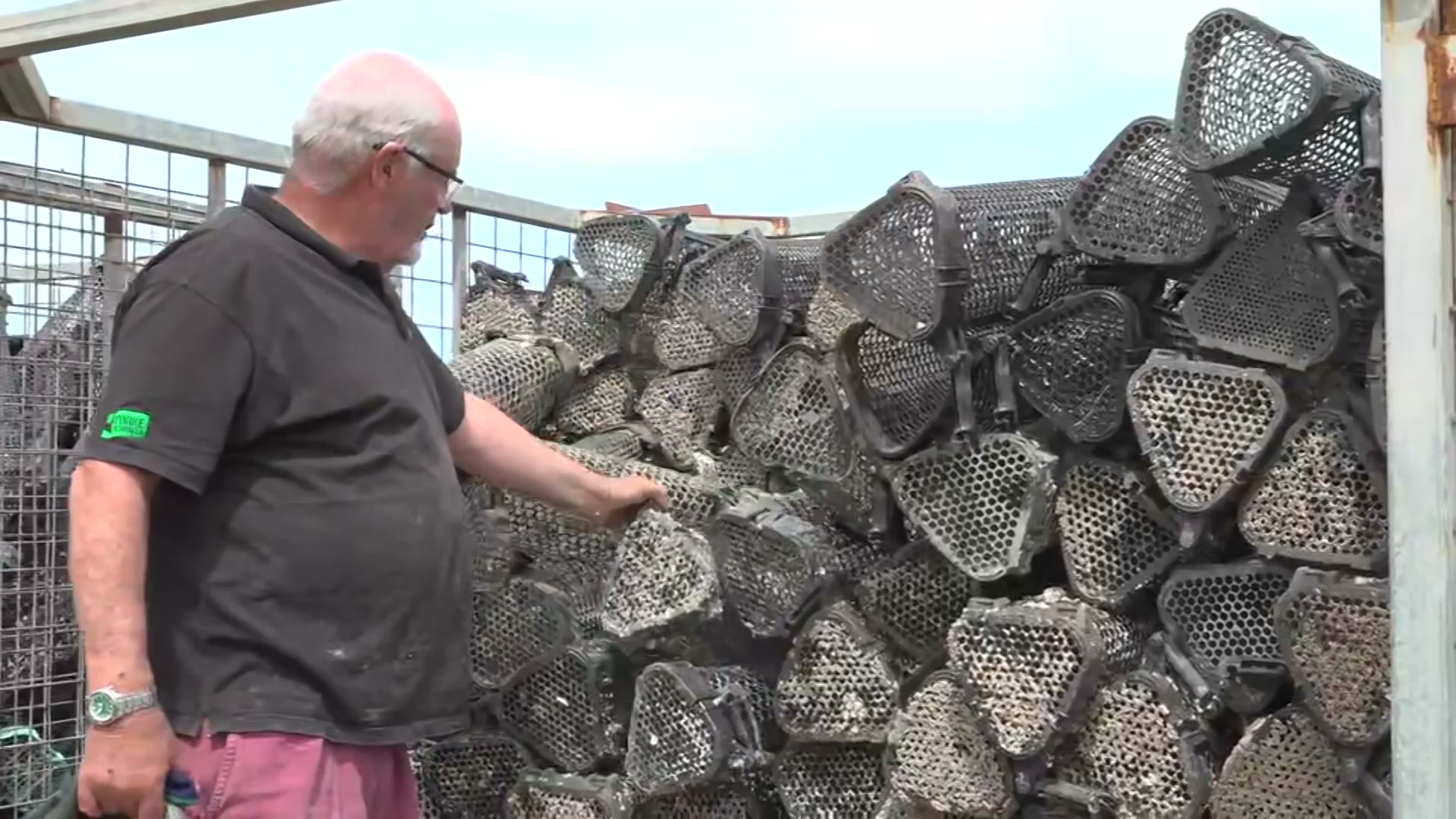 South Australian oyster farmers face challenges after algal bloom