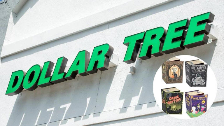Dollar Tree has the best fall bookish decor