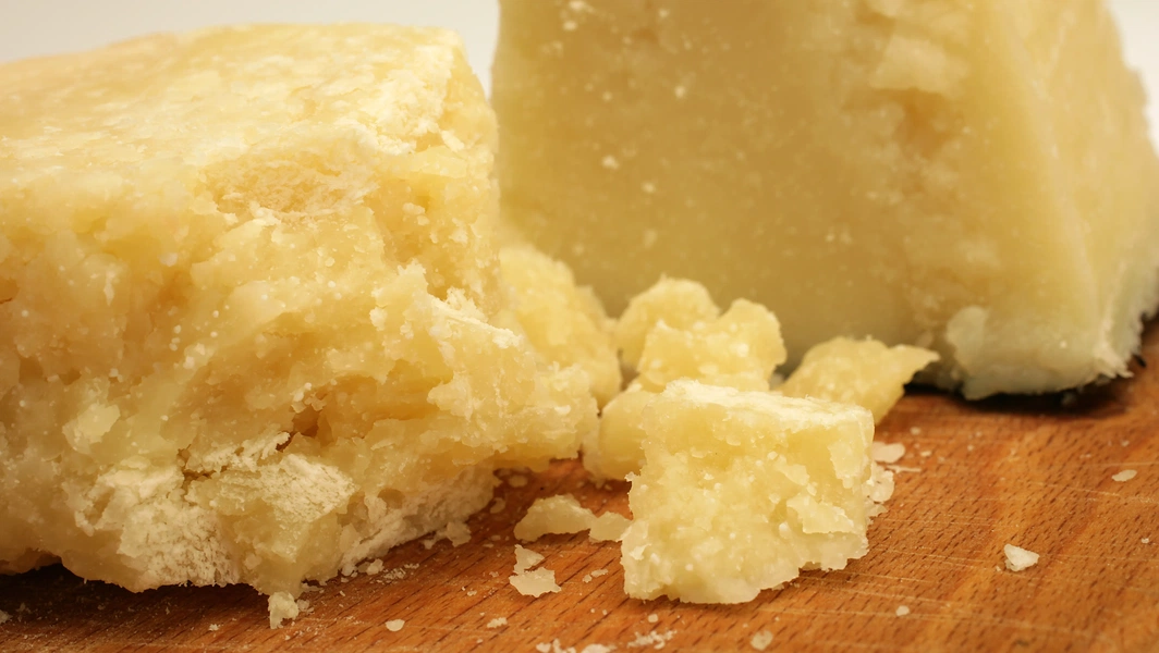 Cheese lovers’ guide to flavor and craft