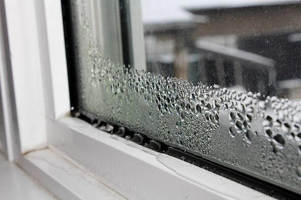 Reason you get condensation on windows every morning and how to stop it