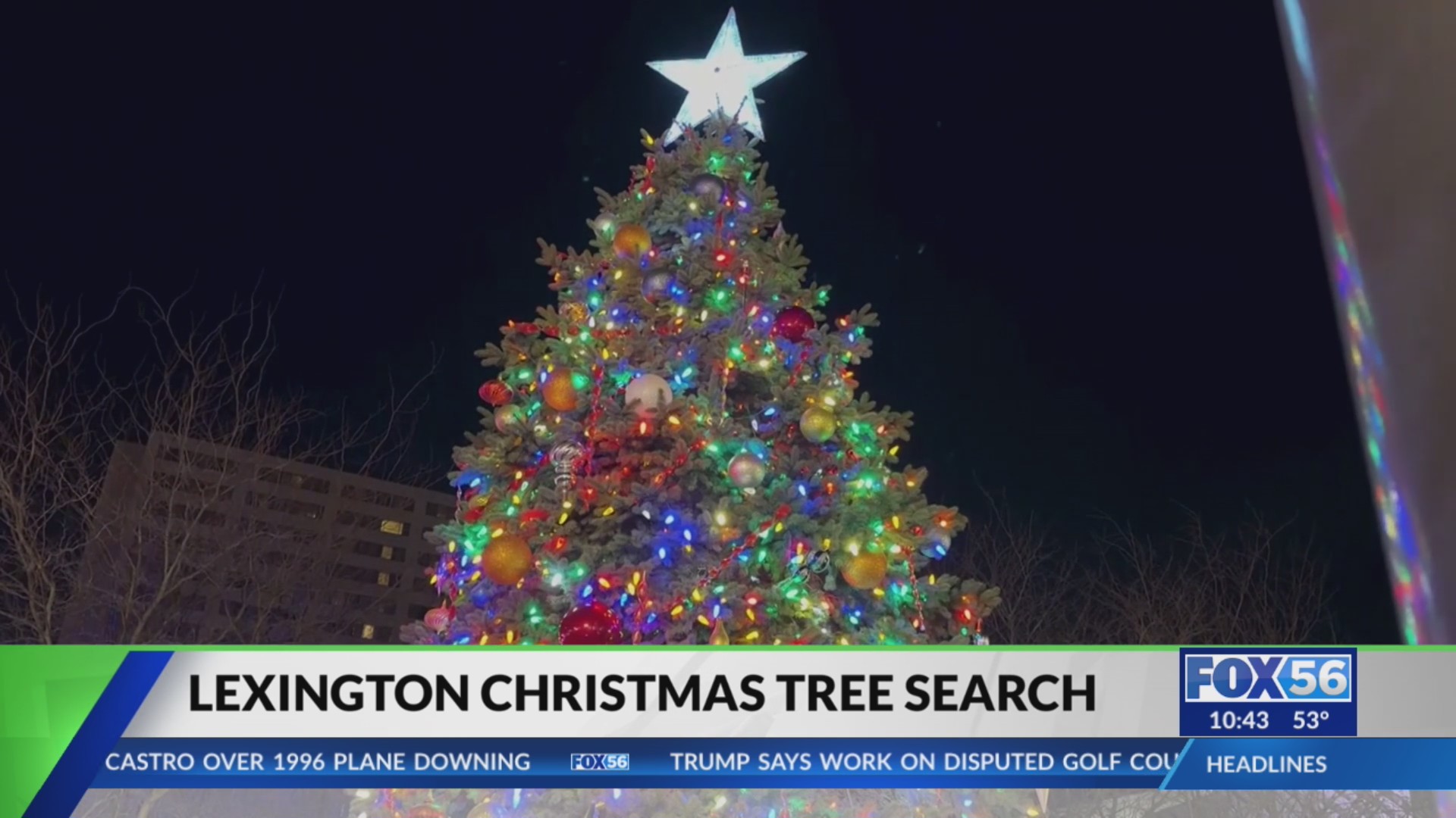 Lexington begins search for city's Christmas tree