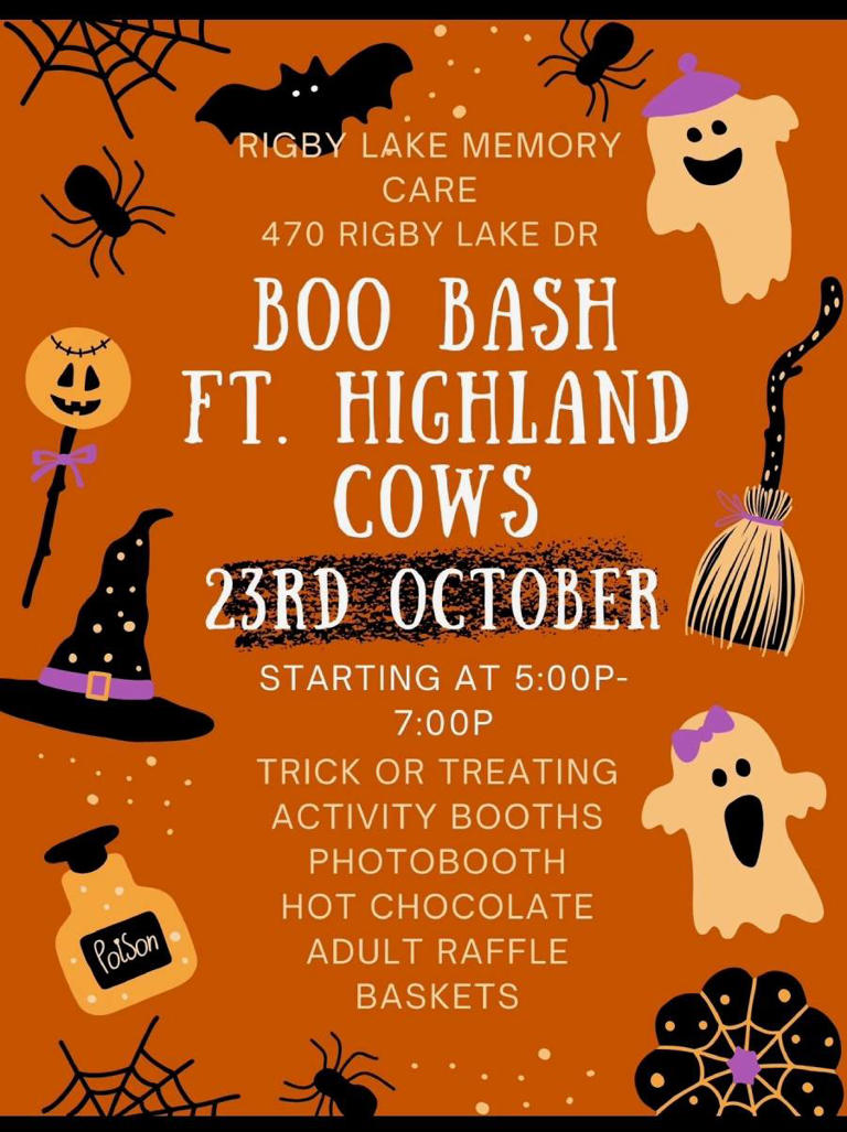 Mini Highland cows dressed up in costumes to return for Boo Bash