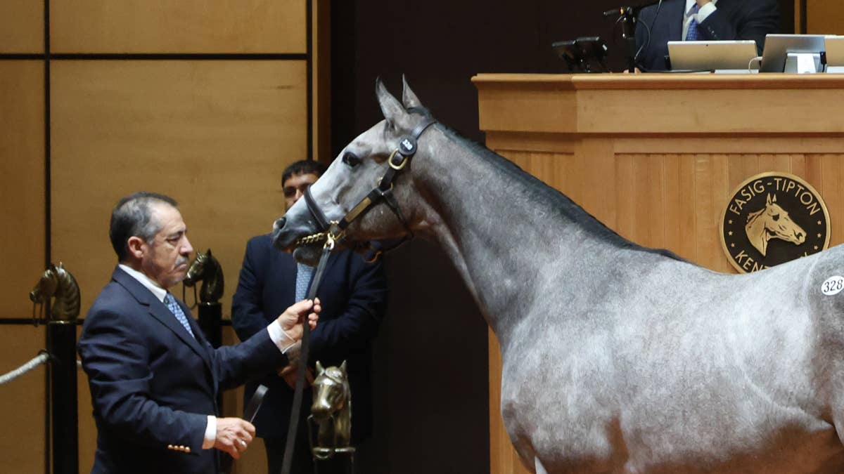 Constitution colt tops opening session of Fasig-Tipton Kentucky October ...