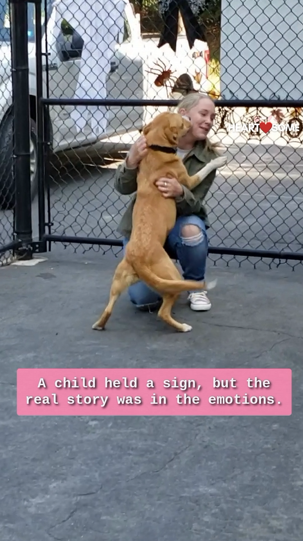 The dog bursts with joy when her military owner returns home after ...