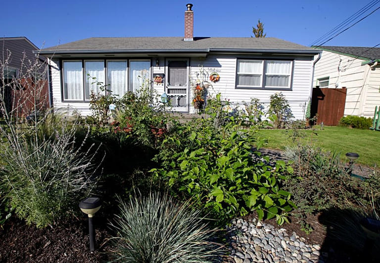 How planting a 'rain garden' could help protect your home from flooding