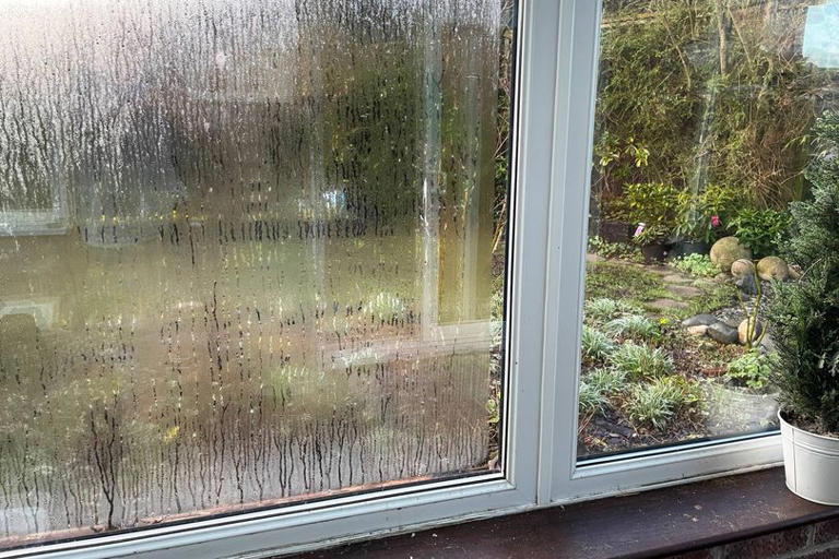 I asked experts for most effective hacks to get rid of condensation ...