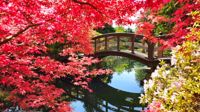 Man Uses Concrete Blocks And Wood To Build A Backyard Bridge With An ...
