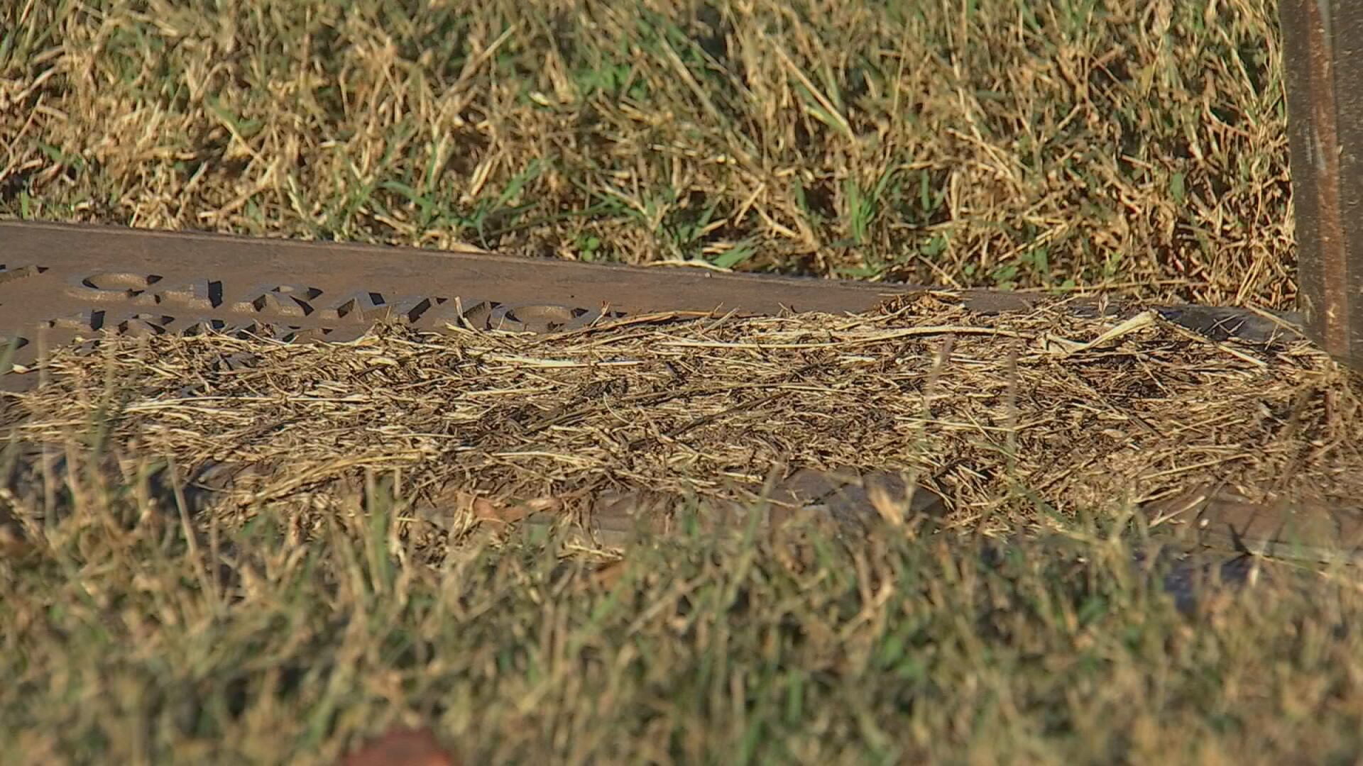 Families say upkeep lacking at Gallatin cemetery