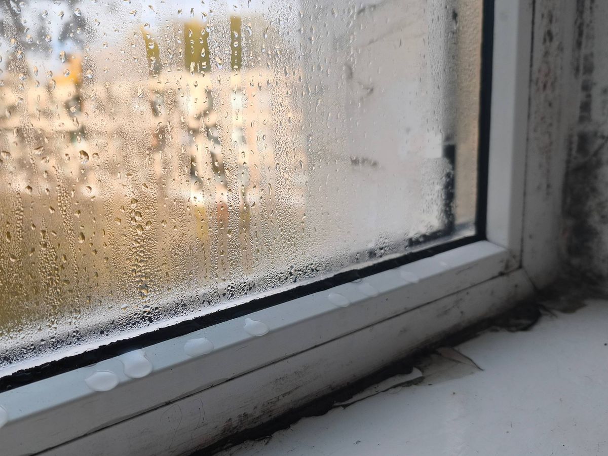 Why you get condensation on windows every morning and easy way to ...
