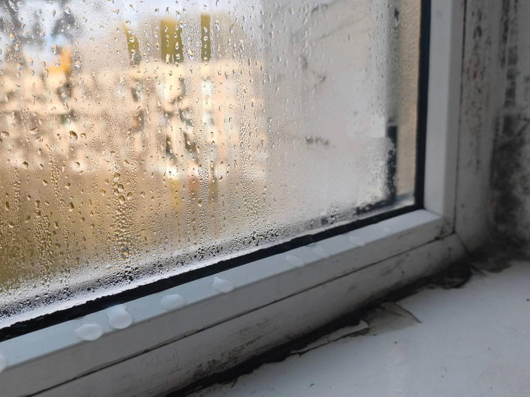 Why you get condensation on windows every morning and easy way to ...