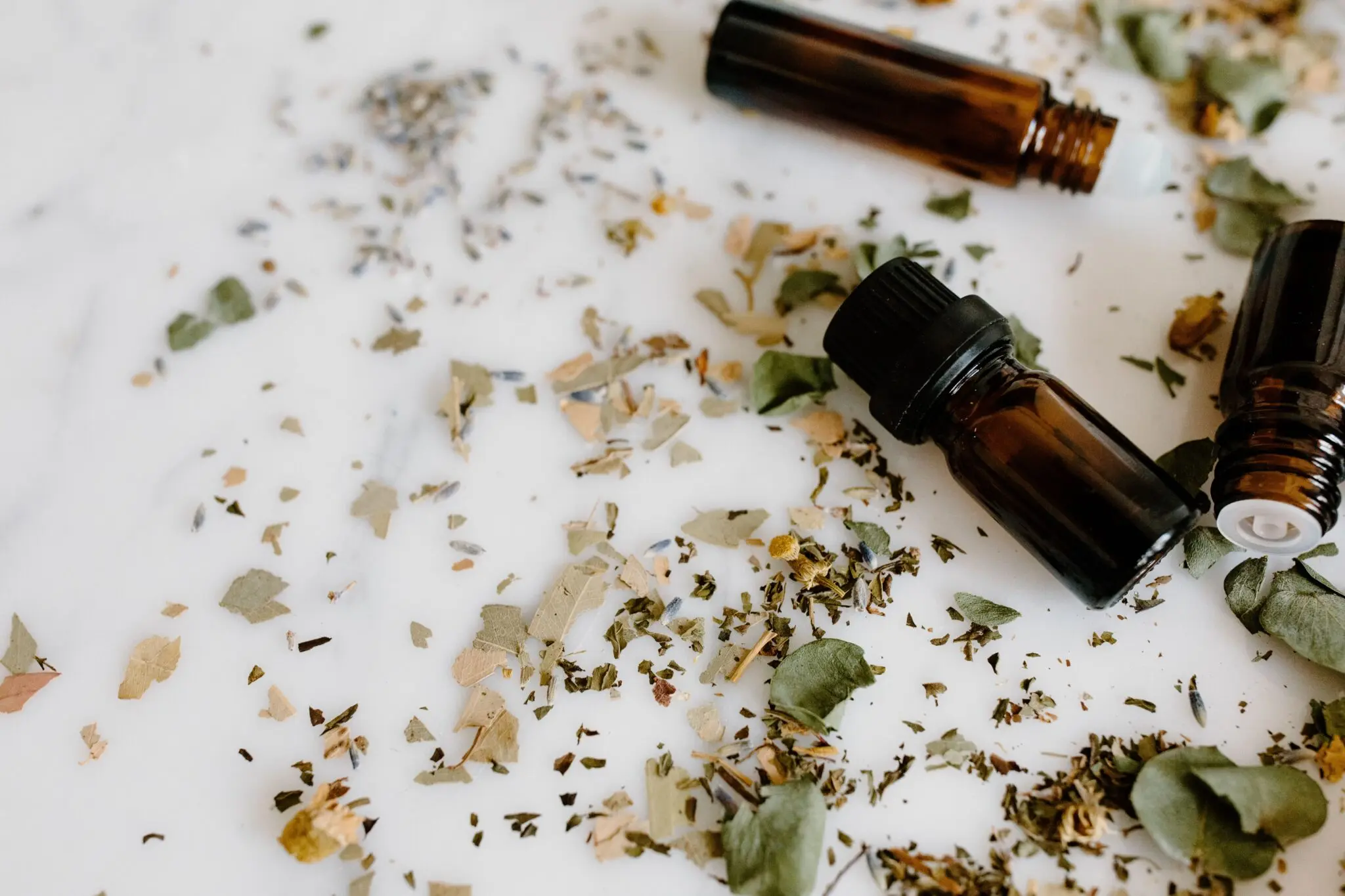 Cinco plantas aromáticas y aceites esenciales para repeler chinches de ...