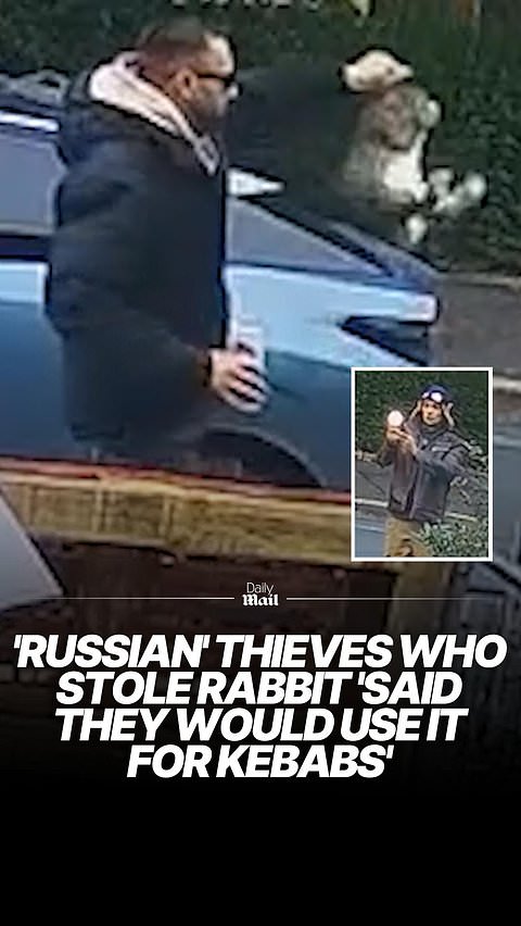 Russians who stole rabbit said they would use it for kebabs