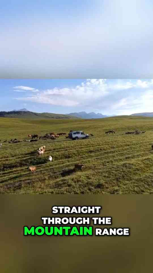 Land Rover Defender or Toyota Troopy? Place your bets