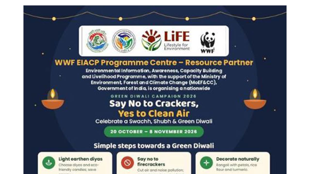 Green Diwali 2026: WWF-India urges citizens to avoid firecrackers