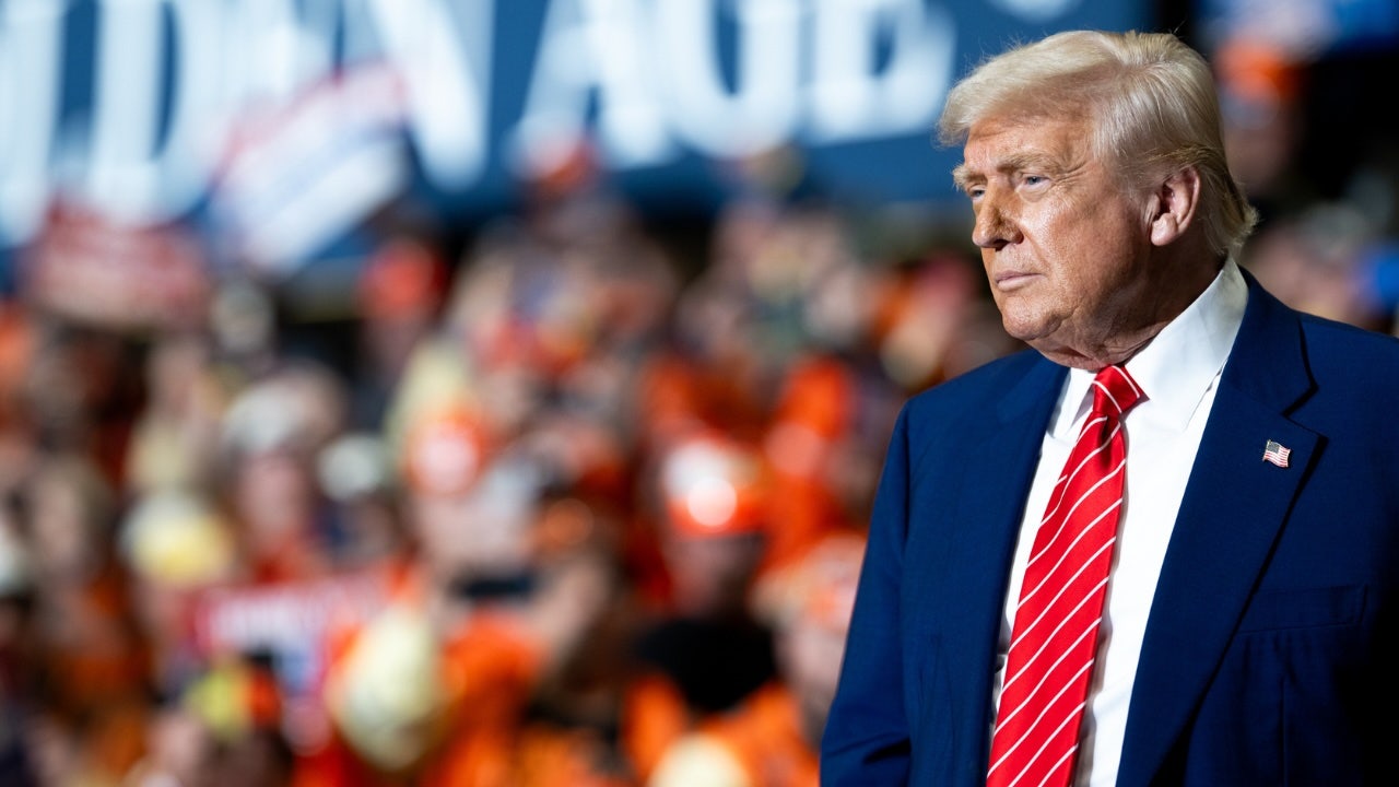 Voters prepare to weigh in on Trump's economy as costs continue to surge