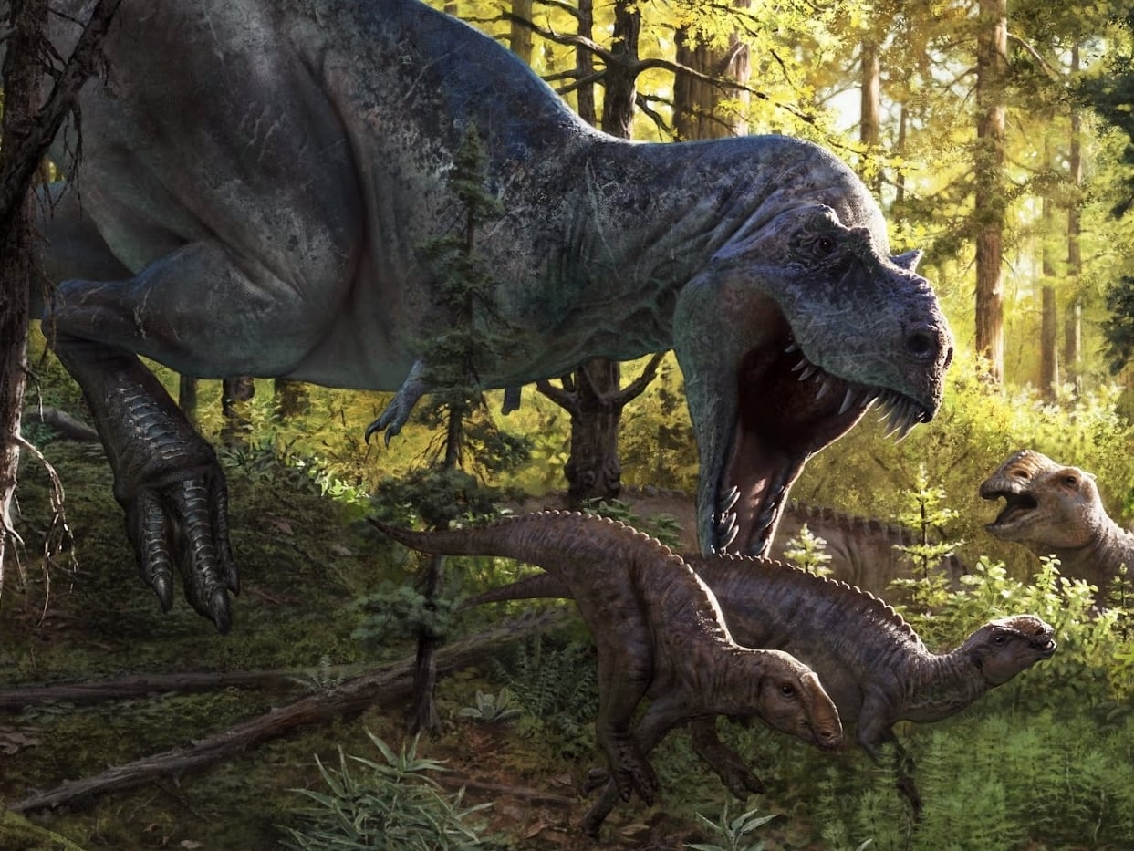 New tyrannosaur relative Tromerosaurus sparks family tree debate