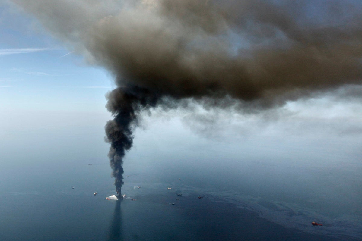BP oil disaster linked to 60% collapse in deep-sea marine life