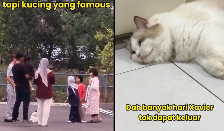 Dog-chasing cat in Perak turns retired grandfather into jogging partner