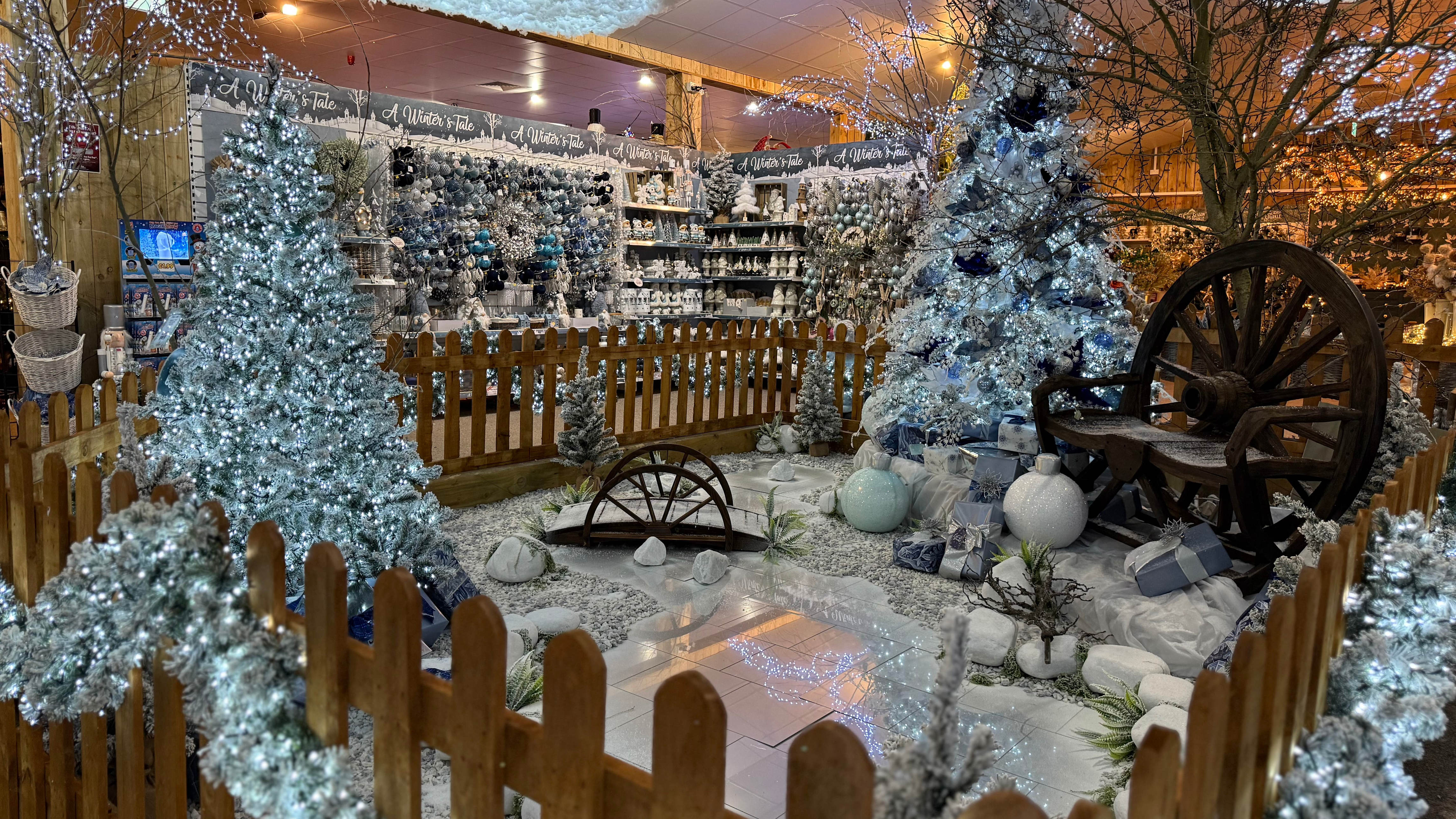 How to get the most out of your garden centre this Christmas