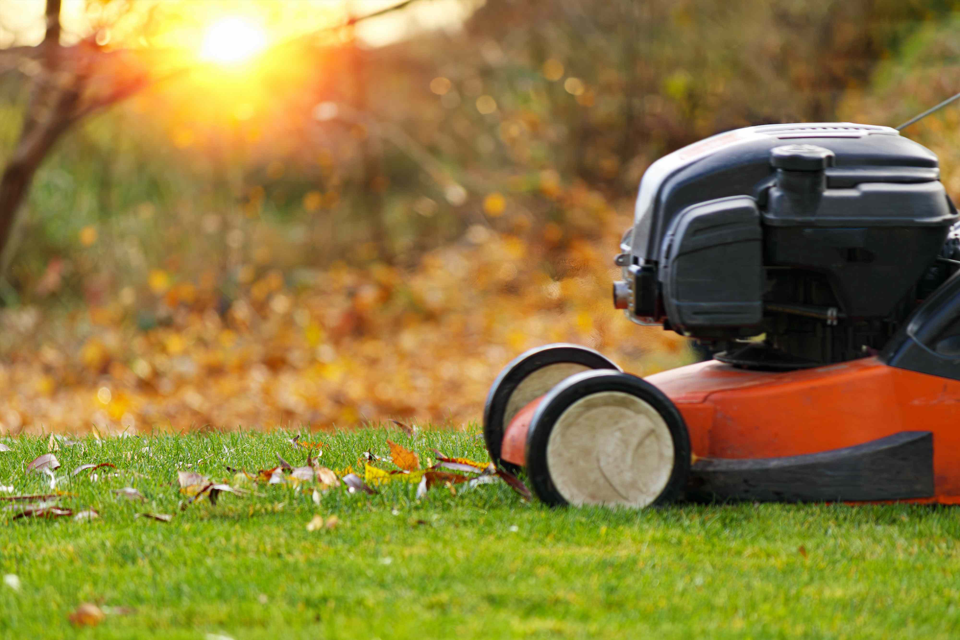This is the sign you can stop mowing your lawn in fall—and lawn pros ...