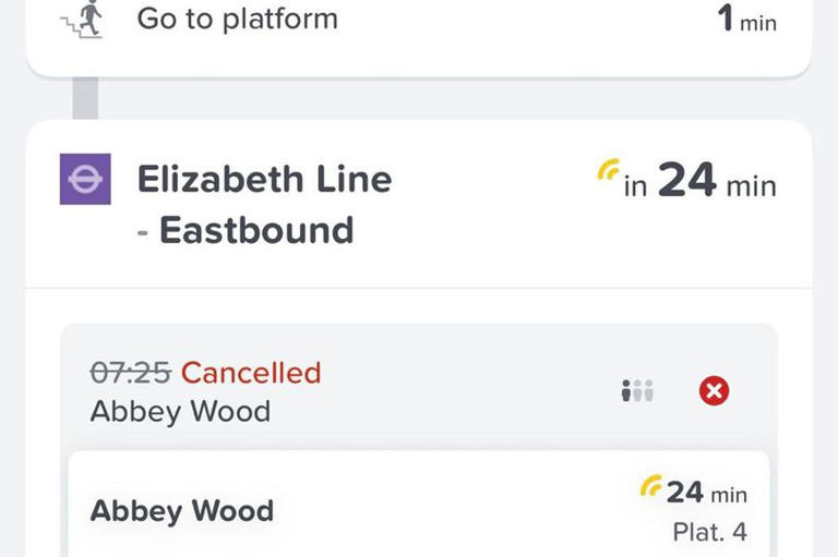 Liz Line is a £19bn instrument of torture that's the UK's biggest game ...
