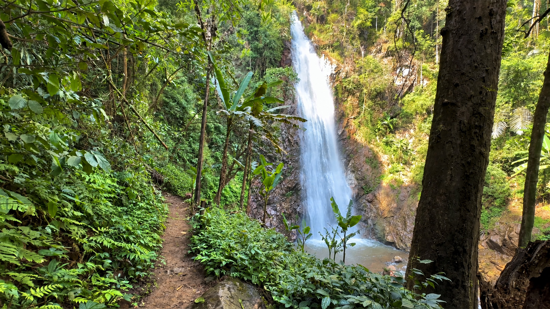 The jungle trail to Chiang Rai’s tall waterfall
