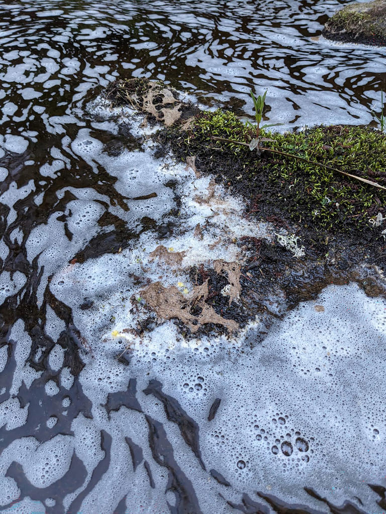 Diageo 'sincerely sorry' following pollution incident on River Spey ...