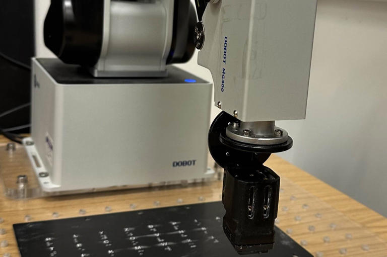Lab-grown human mini-brains can read Braille