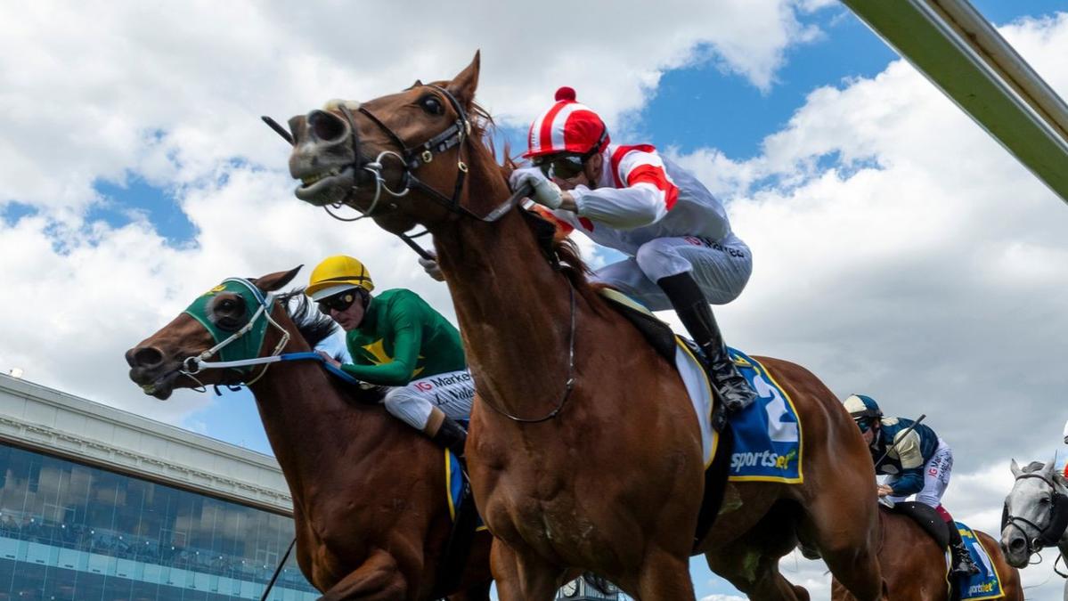 Cox Plate barrier draw: Land Legend, Aeliana to jump wide, Sir Delius ...