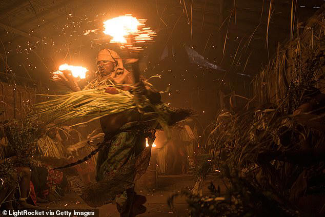 The next ayahuasca? US drug giants are vying for a root bark used in ...