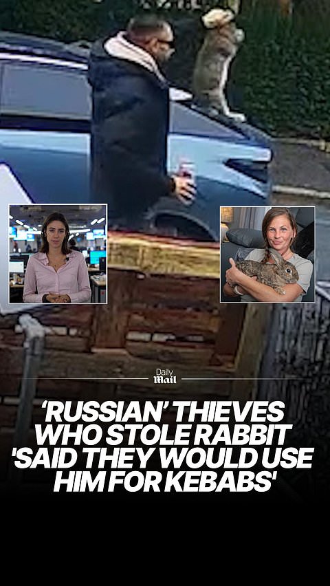 Russians who stole rabbit said they would use it for kebabs