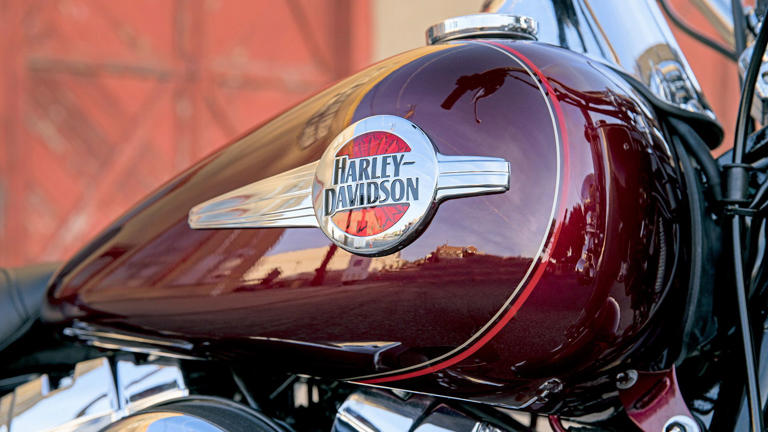 The Harley-Davidson that could be one of the best used cruisers today