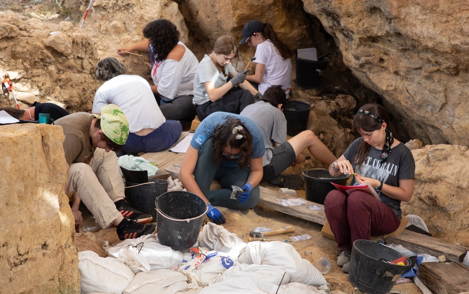 46,000-year-old Neanderthal hand bones found in Spain yield DNA