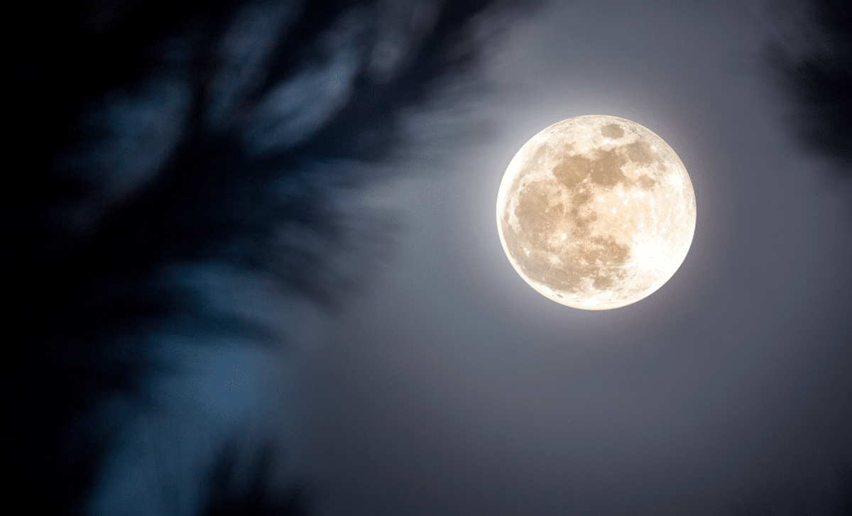 The hunter’s moon returns this October: Here’s what makes it worth watching