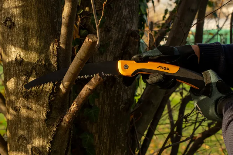 Fall in love with autumn gardening STIGA’s top tips for a healthier ...