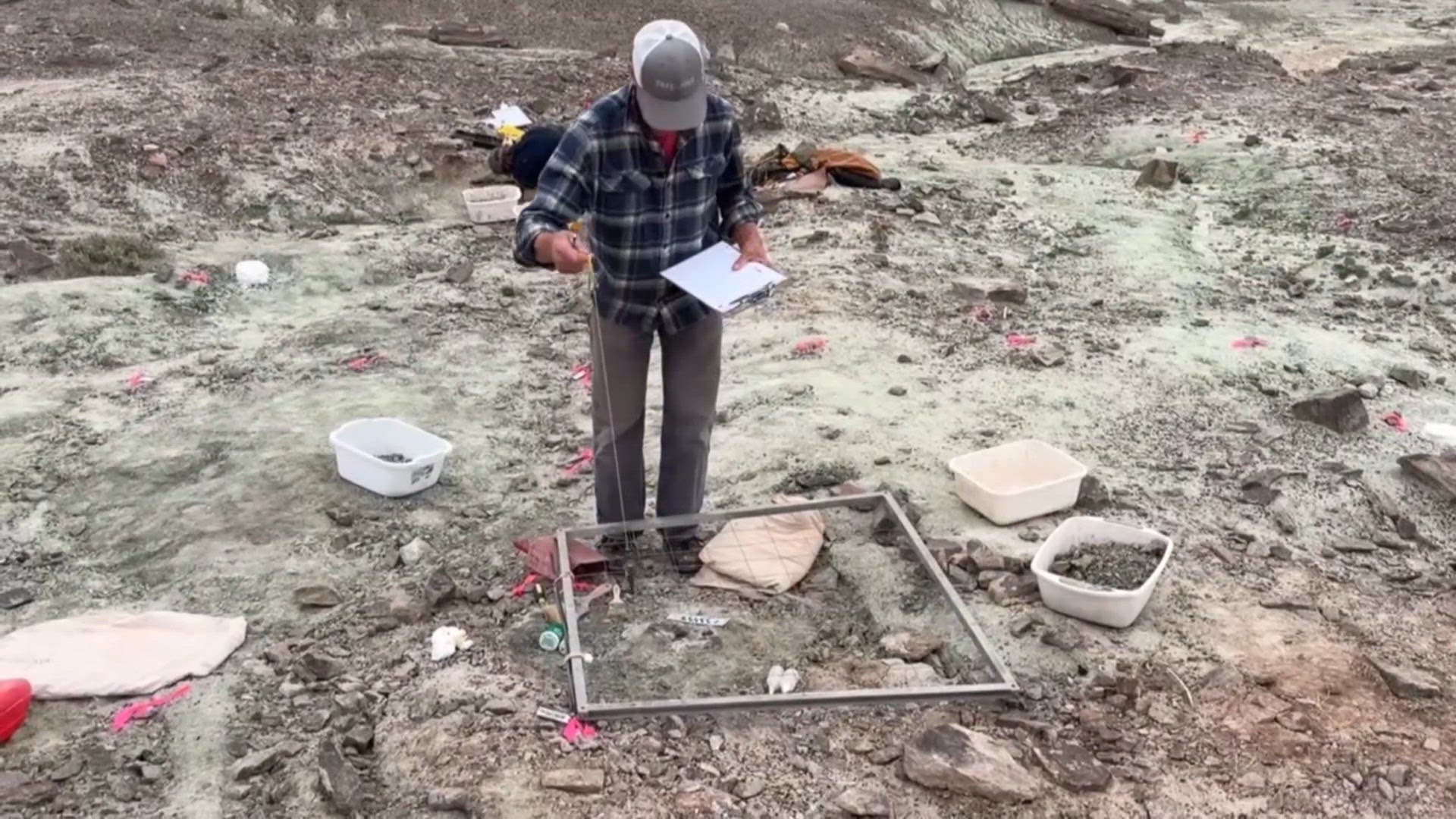 Newly discovered fossils may help paleontologists understand what ...
