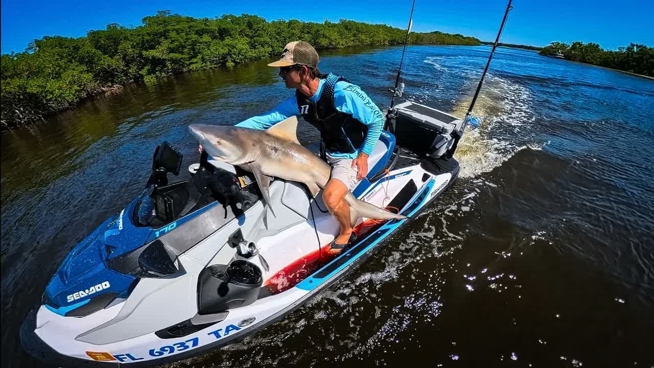 A bull shark caught from a Sea-Doo becomes a dinner of fried nuggets ...