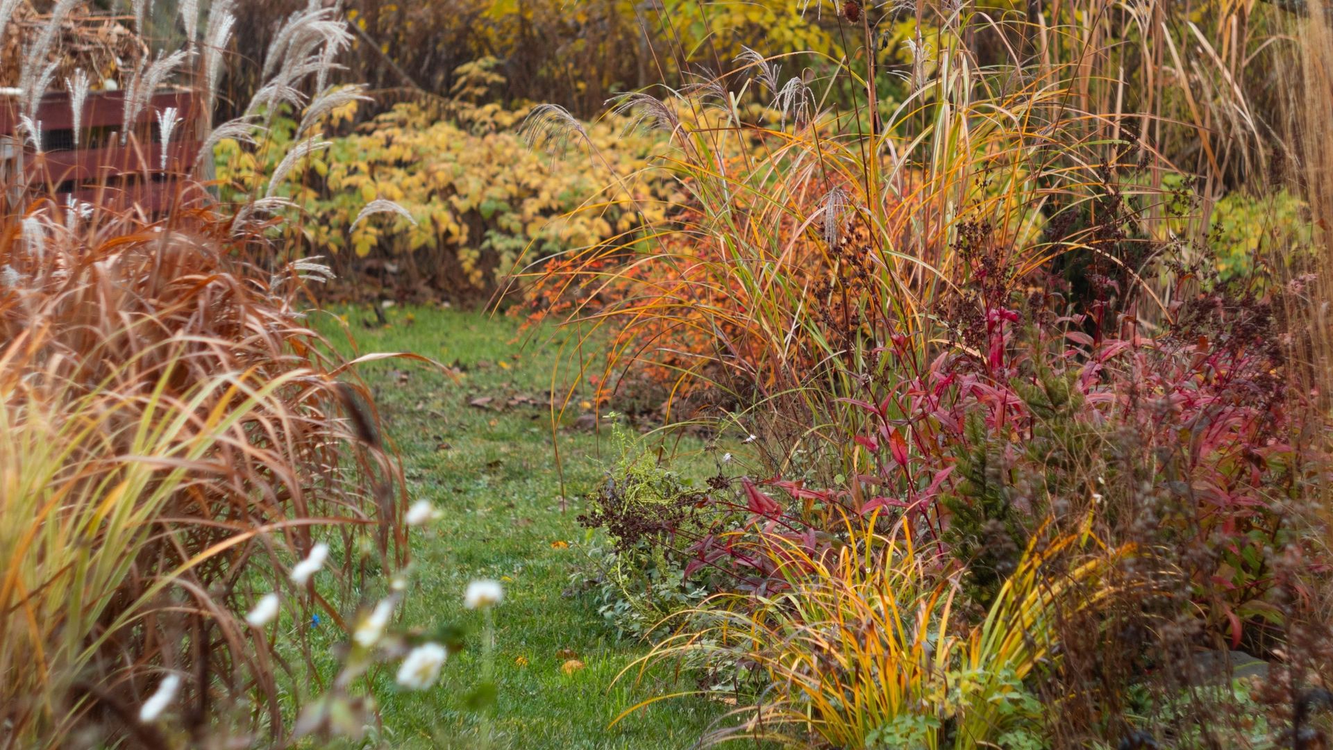6 plants you should never prune in October – experts say they’ll do ...